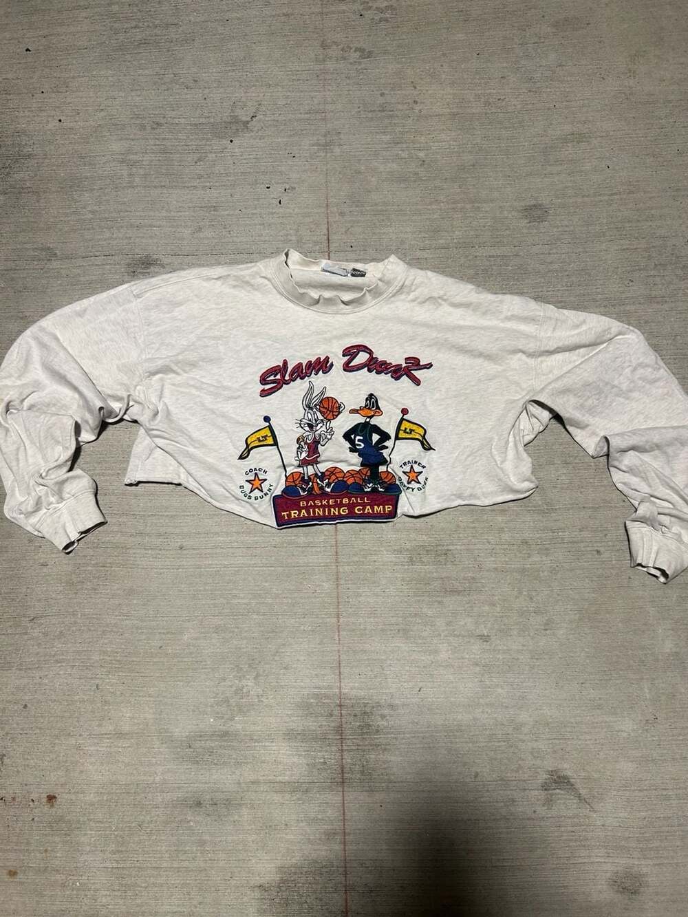 Vintage 1993 Acme Clothing Co. Looney Tunes Slam Dunk Cropped